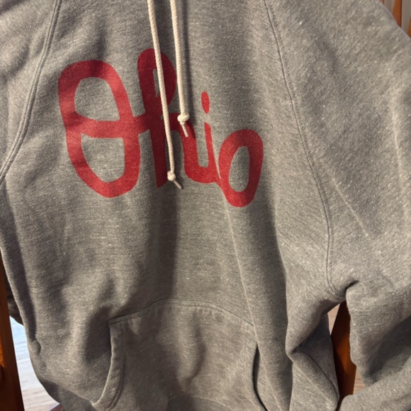 Homage: Script Ohio Hoodie - Picture 2 of 2